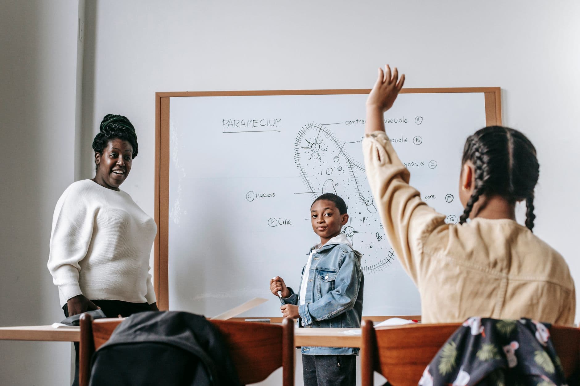 Coaching Institute Websites — Ethnic girl raising hand while African American female teacher standing near whiteboard with teen boy and explaining task