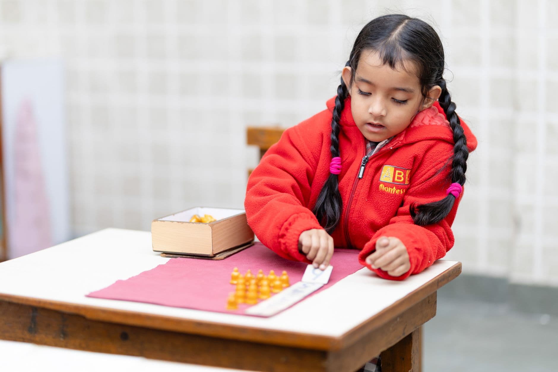 School & College Websites with Management Systems — A young South Asian girl in a red jacket focuses on a learning task at school.