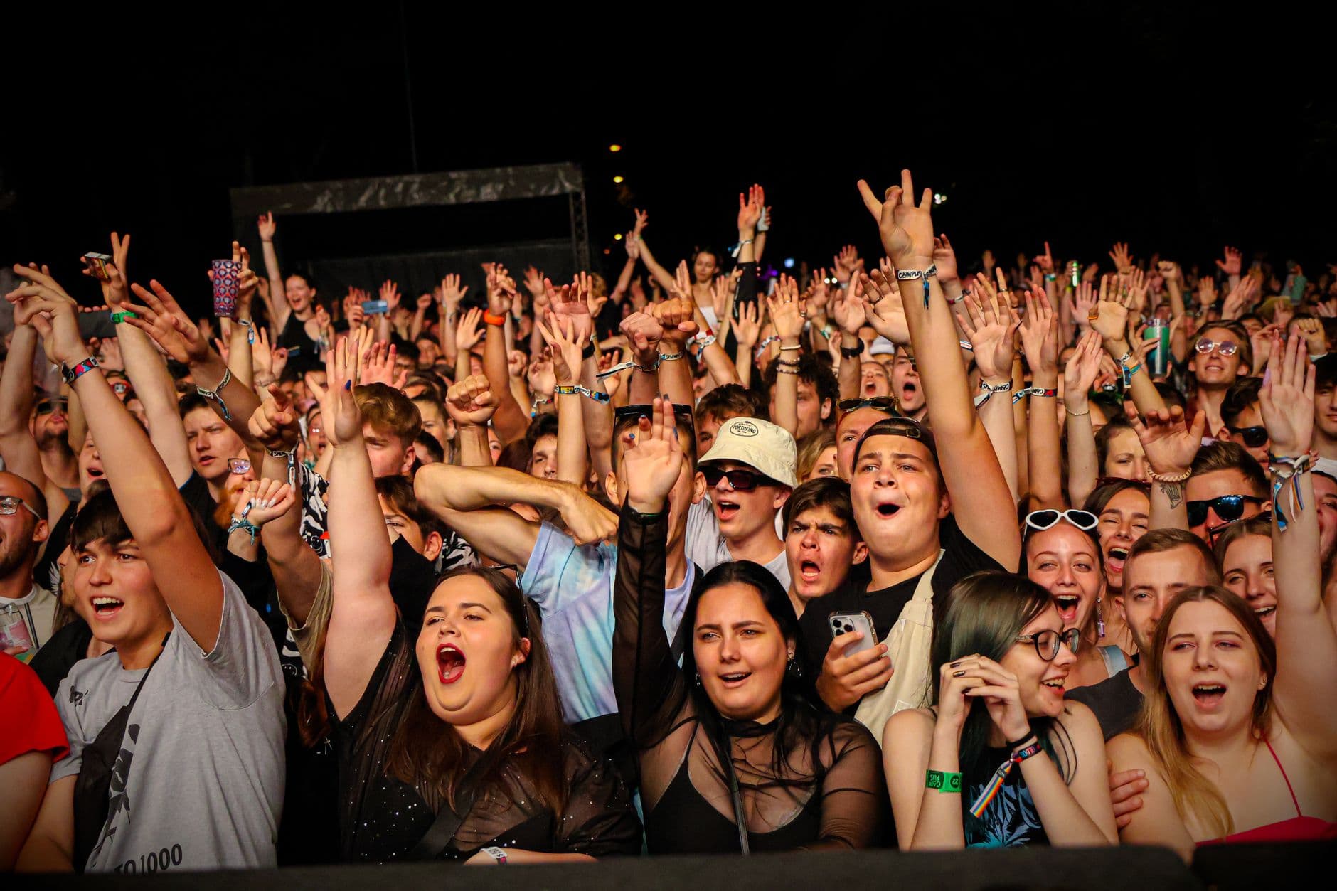 VPS Hosting for Ticket Booking Software — Lively audience with raised arms and cheerful expressions at an outdoor music concert at night.