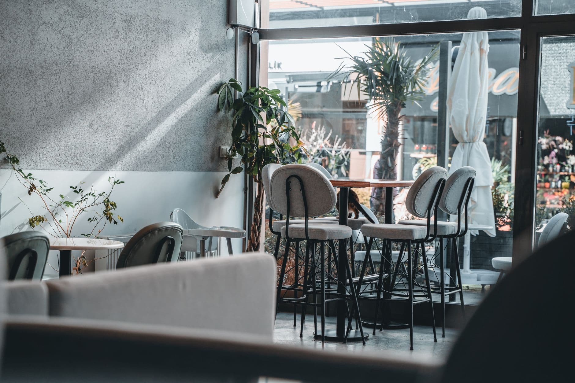 Website & Hosting for Cafes — Inviting café interior featuring modern design, natural light, and stylish seating arrangement.