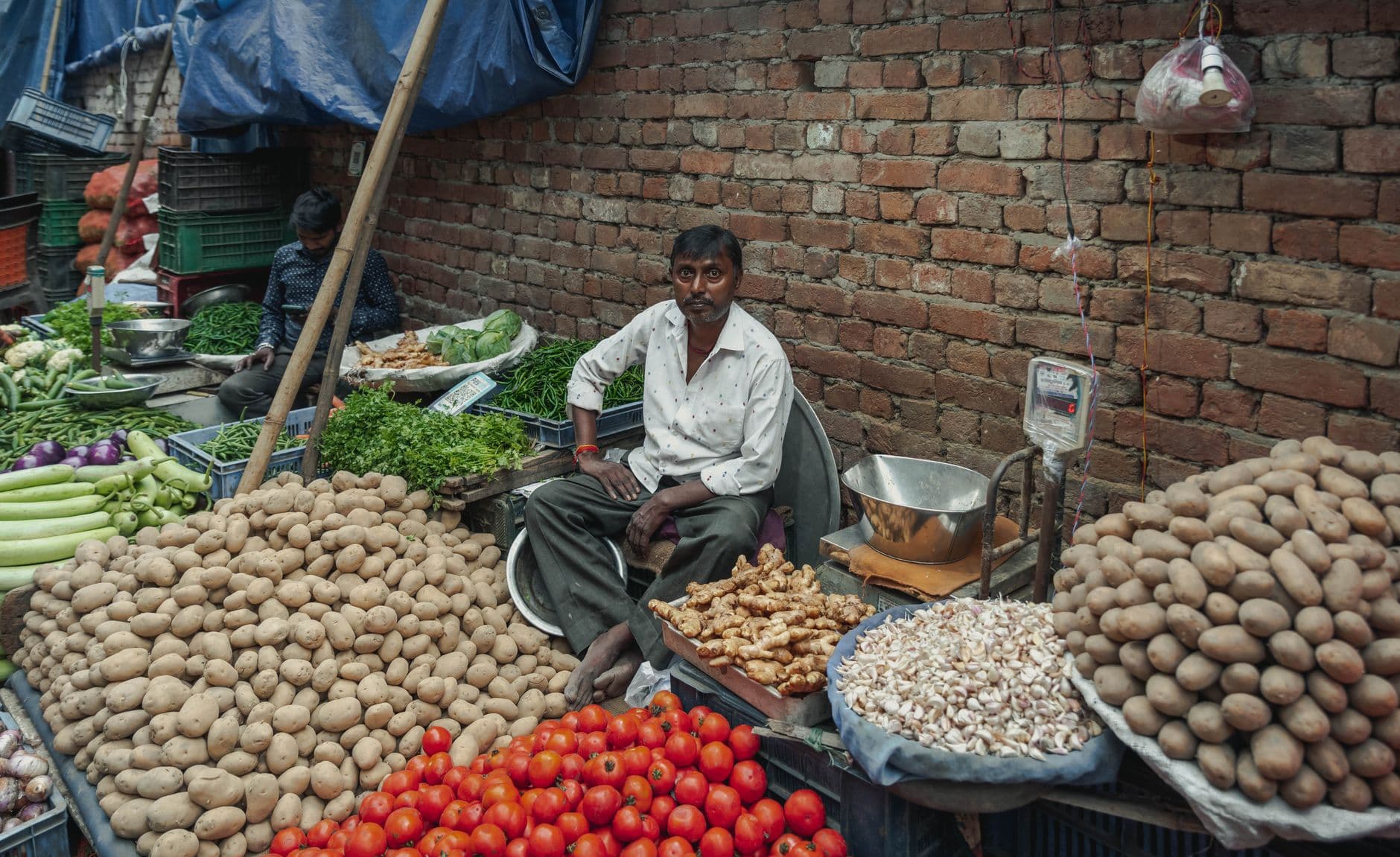Grocery & Quick Commerce Websites for businesses in Bijnor