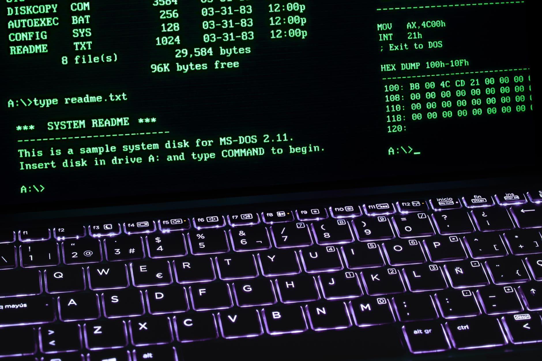 Ubuntu Server for businesses in Delhi